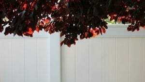 White vinyl fence