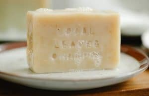 Marine safe beach soap