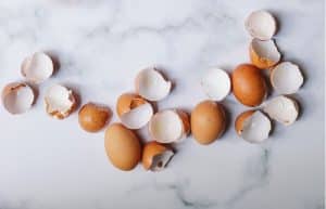 Egg Shells