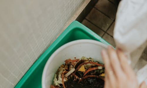 Eco-friendly kitchen compost bin with vegetable food scraps on countertop