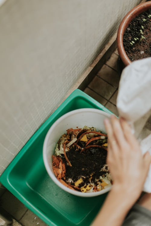 Best Kitchen Compost Bins of 2026: Easy Countertop Composting for Every Home